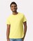 Gildan® Ultra Cotton Short Sleeve Crewneck T-Shirt for Everyday Wear, Custom Printing, DIY Crafts & Event Use Blank Tee